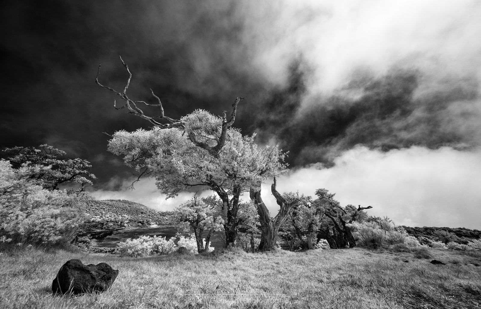 Le ballet des nuages – timelapse infrarouge