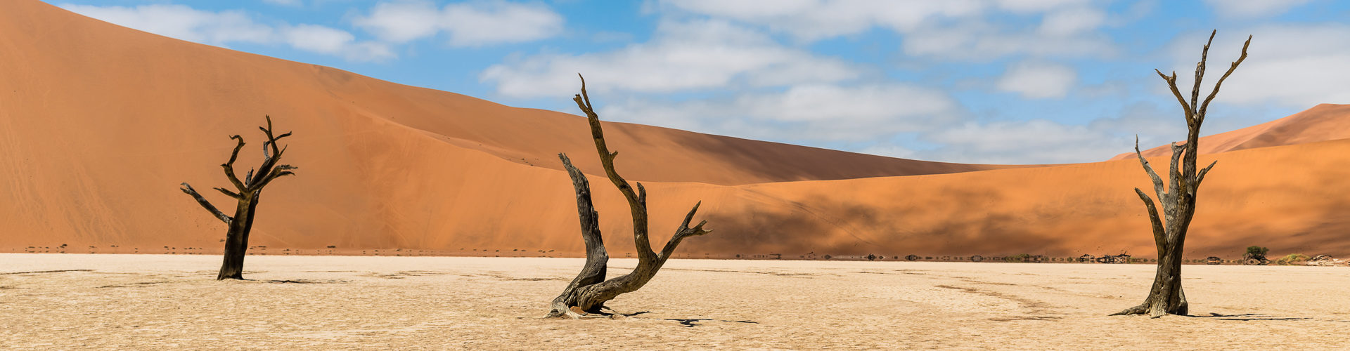 Le Dead Vlei (Namibie)