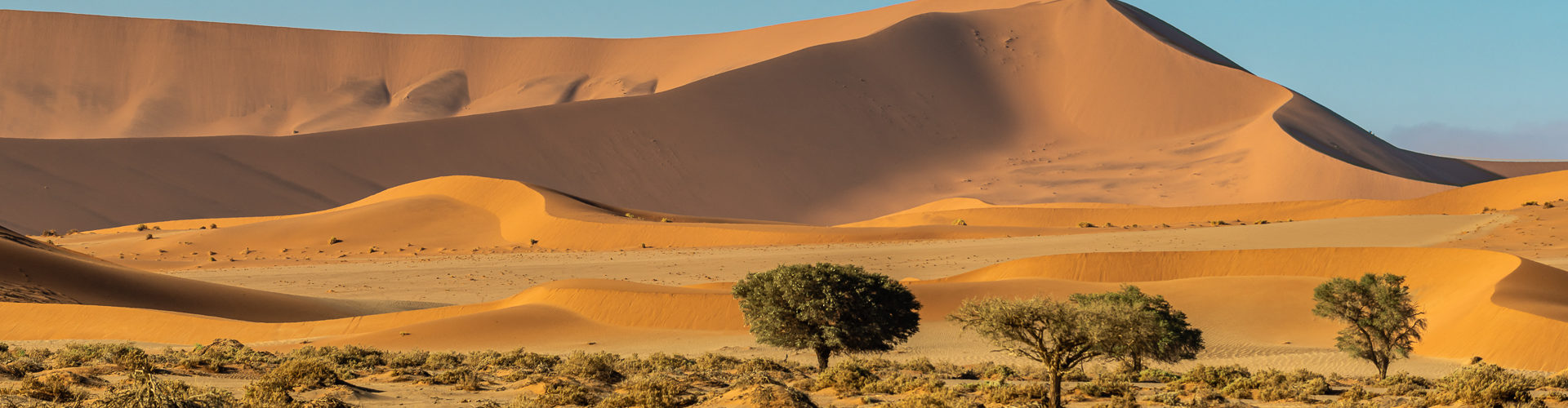 Paysages namibiens