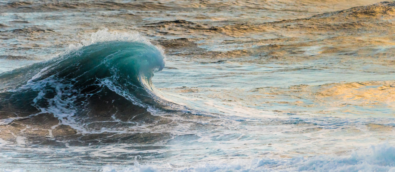 Vague à l'heure dorée