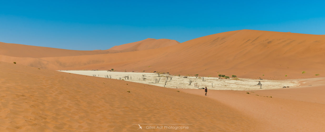 Vue d'ensemble du Dead Vlei