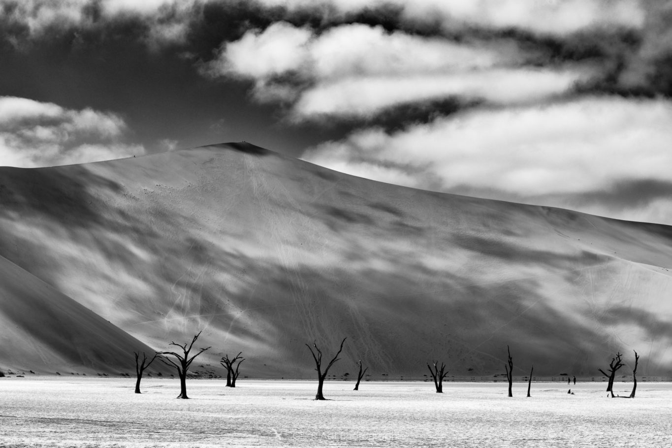 le Dead Vlei