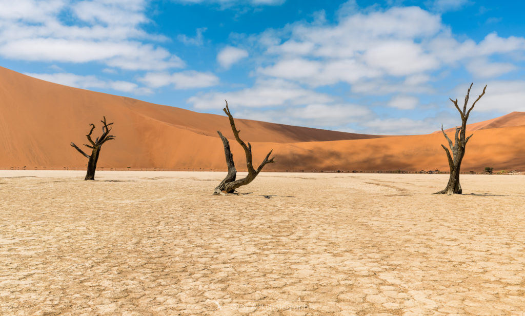 desert de dunes 3 lettres