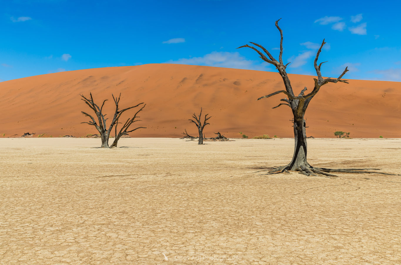 Acacias, argile et dunes