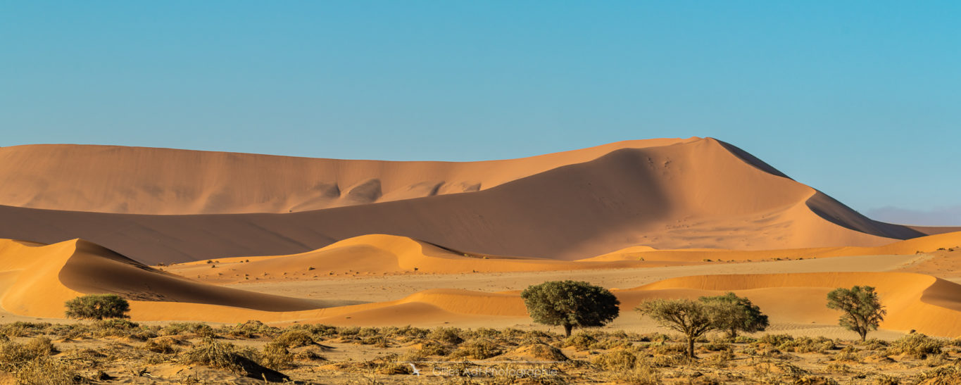 Dunes du Namib