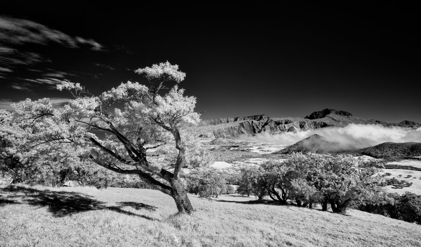 Vue sur le Piton des Neiges