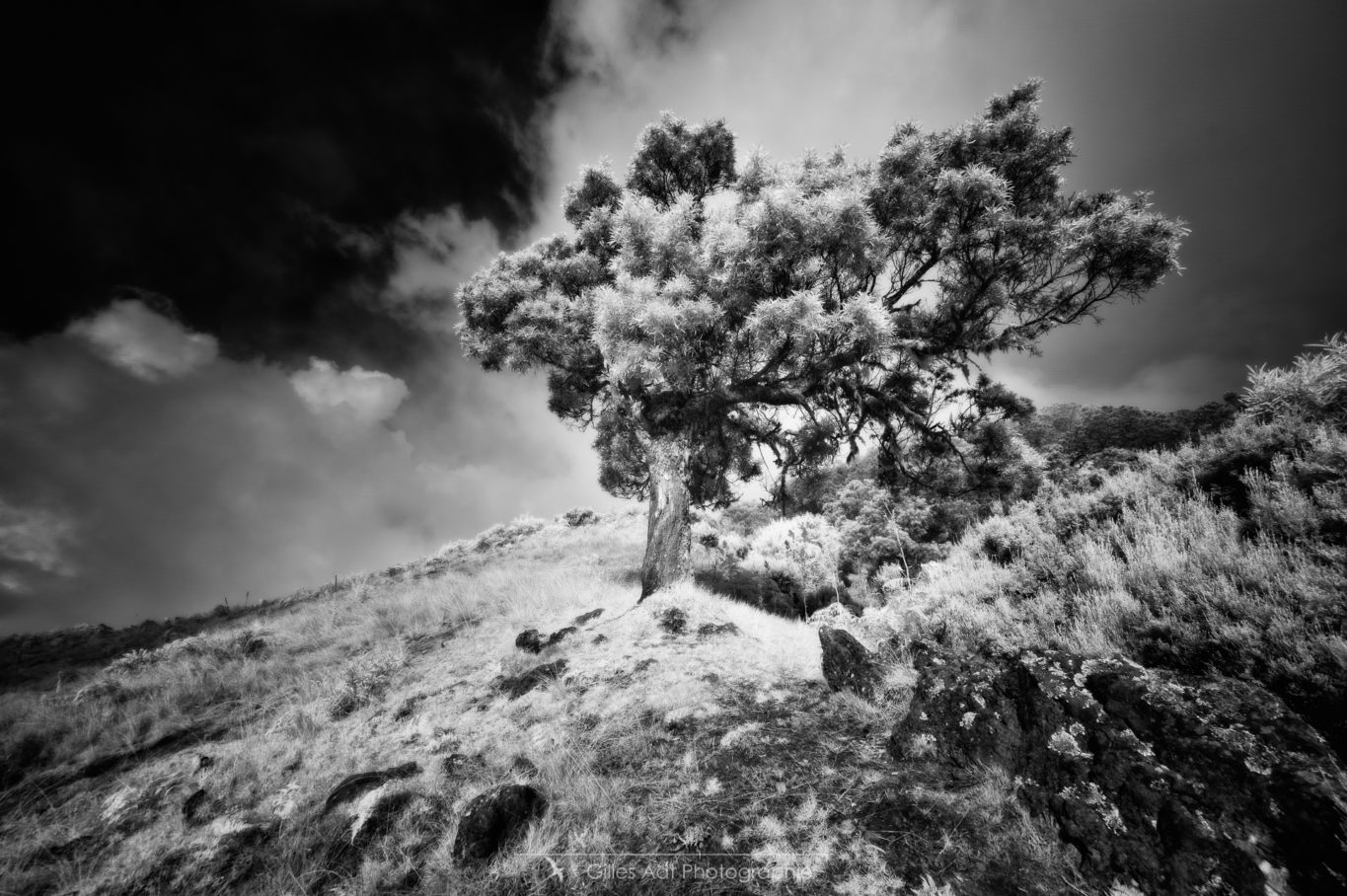 Sous le vent du Maïdo