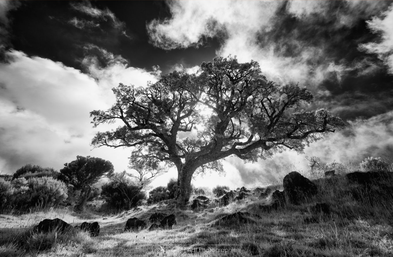 à contre jour