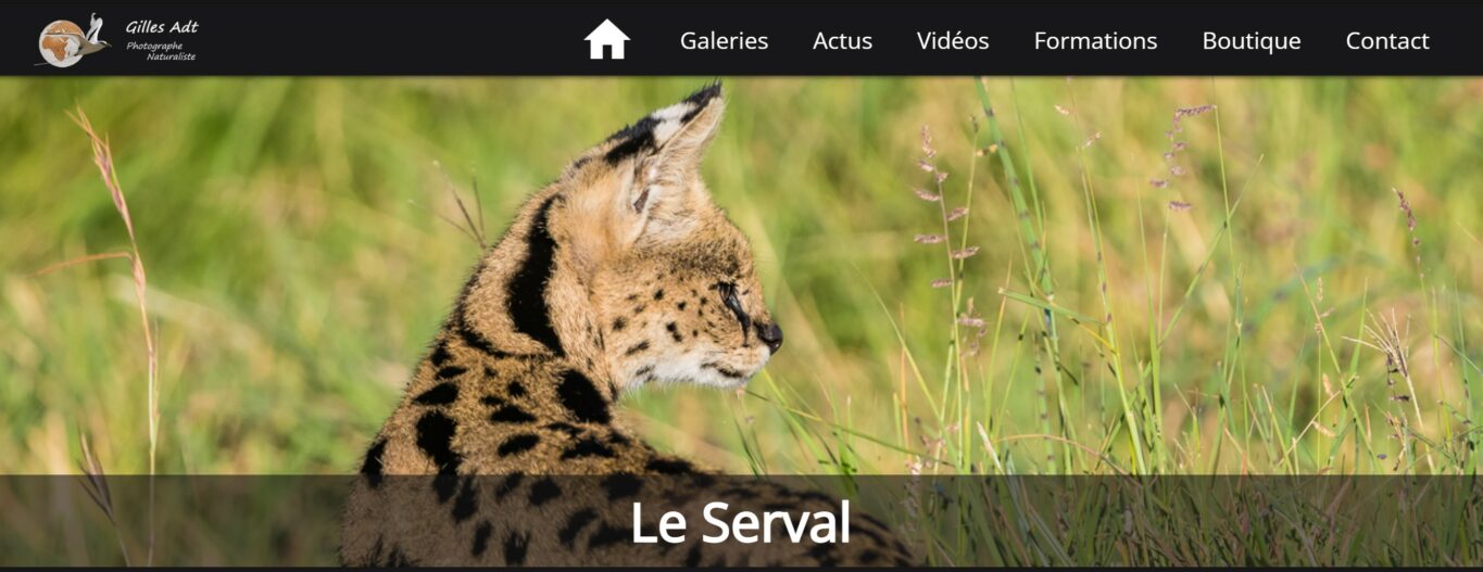 la galerie Serval