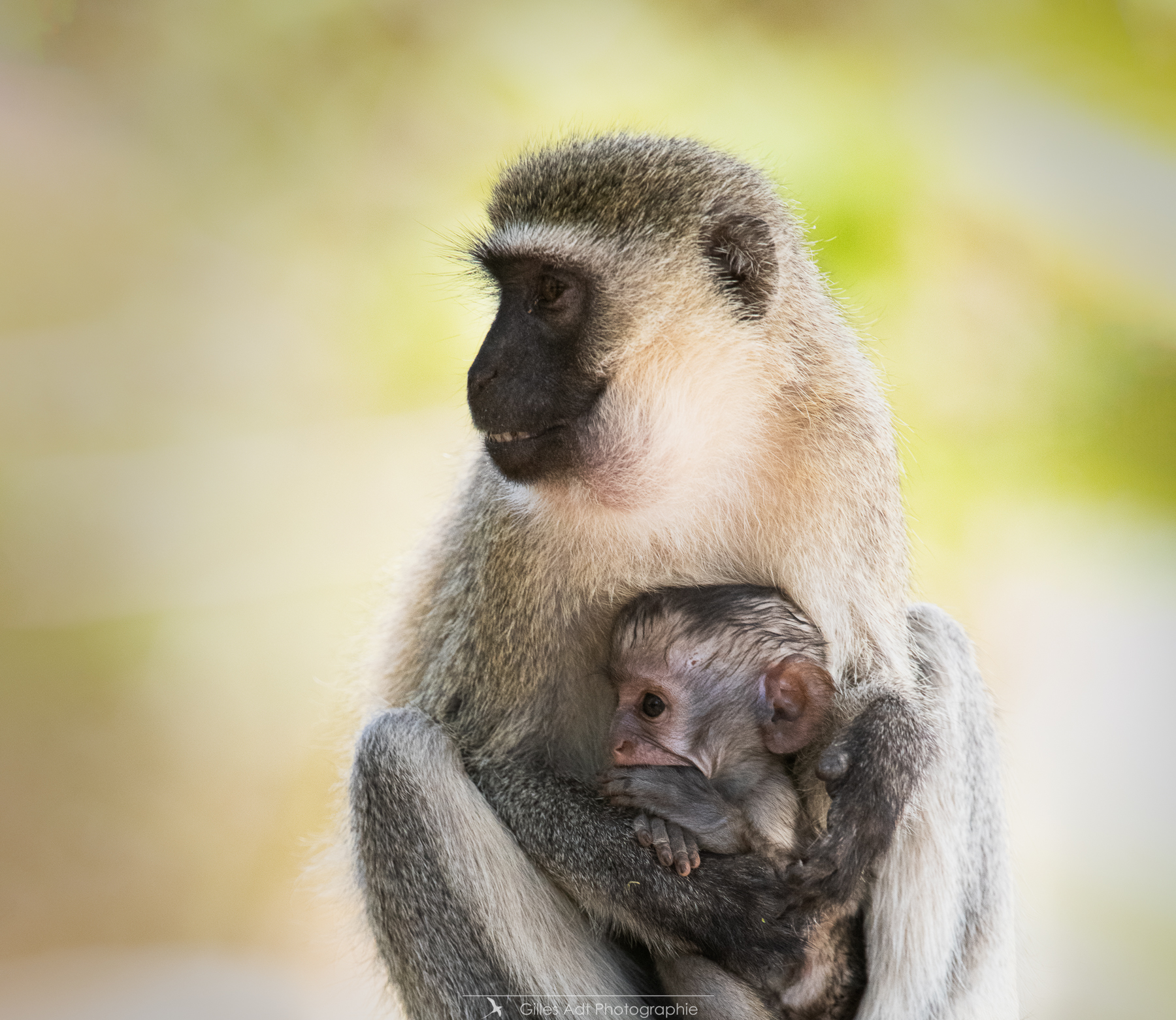 maman et son bébé